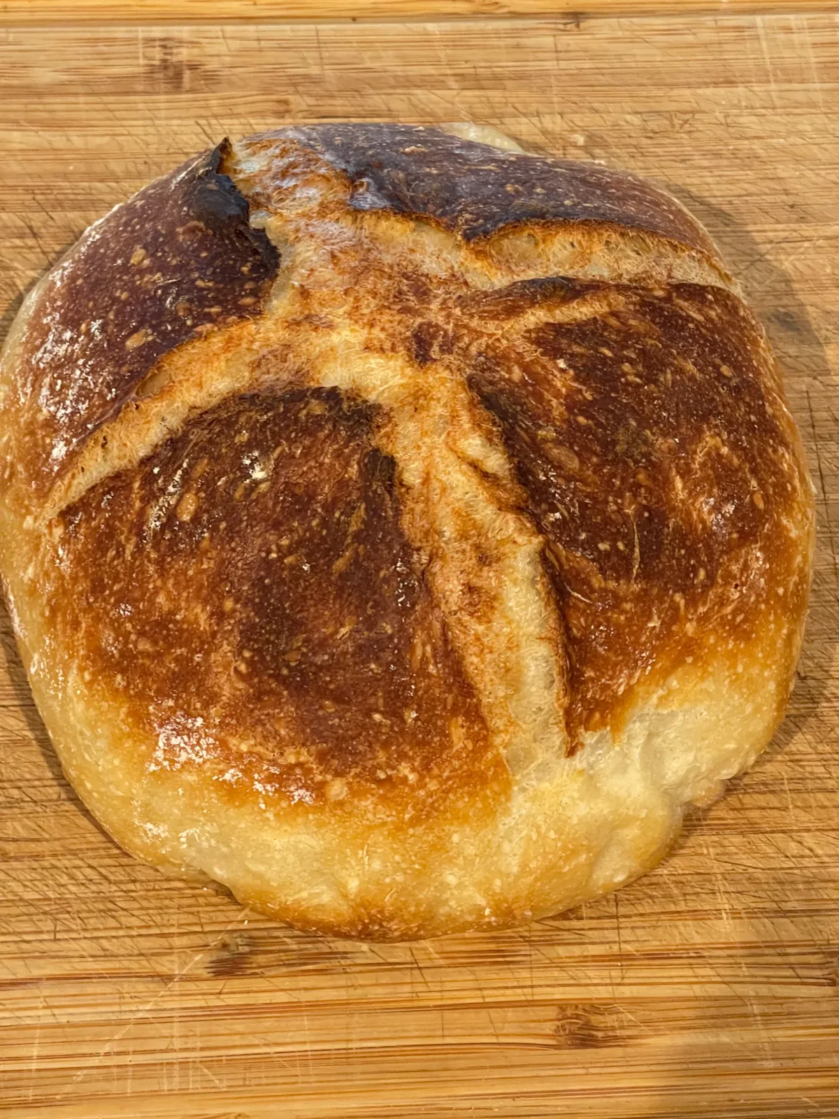 Rustic Italian bread, fresh baked daily - Vee's Italian Bakery Virginia Beach